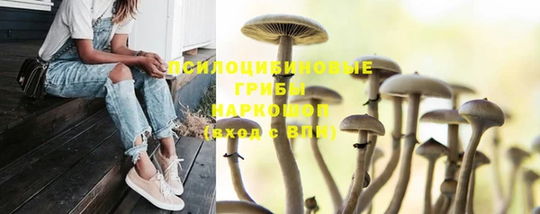 мескалин Аркадак