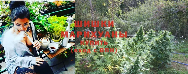 дживик Арсеньев