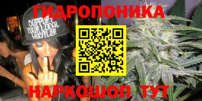 эйфоретик Сланцы