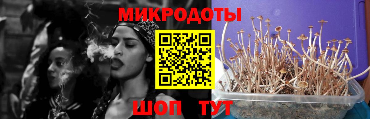 Пенза  Галлюциногенные грибы Psilocybe  Вход с VPN  Галлюциногенные грибы мицелий 