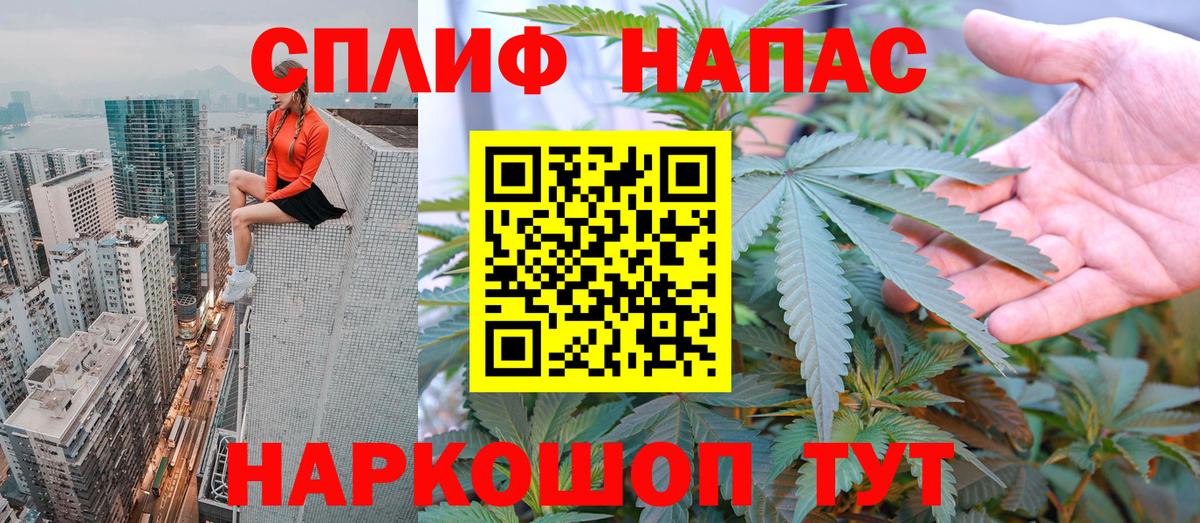 Марихуана семена Пенза